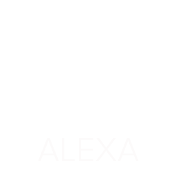 Compatibile con Amazon Echo Alexa